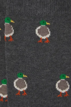 Kiff-Kiff Calcetín Regular Algodón Caballero gris