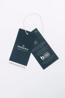 Springfield Camisa popelín rayas azul