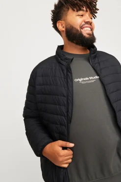 Jack & Jones PLUS Cazadora acolchada ligera PLUS negro Discount