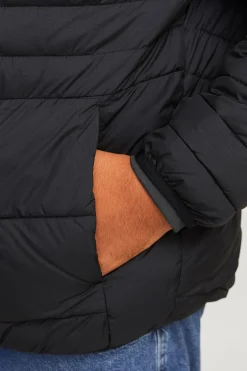 Jack & Jones PLUS Cazadora acolchada ligera PLUS negro Discount
