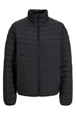 Jack & Jones PLUS Cazadora acolchada ligera PLUS negro Discount