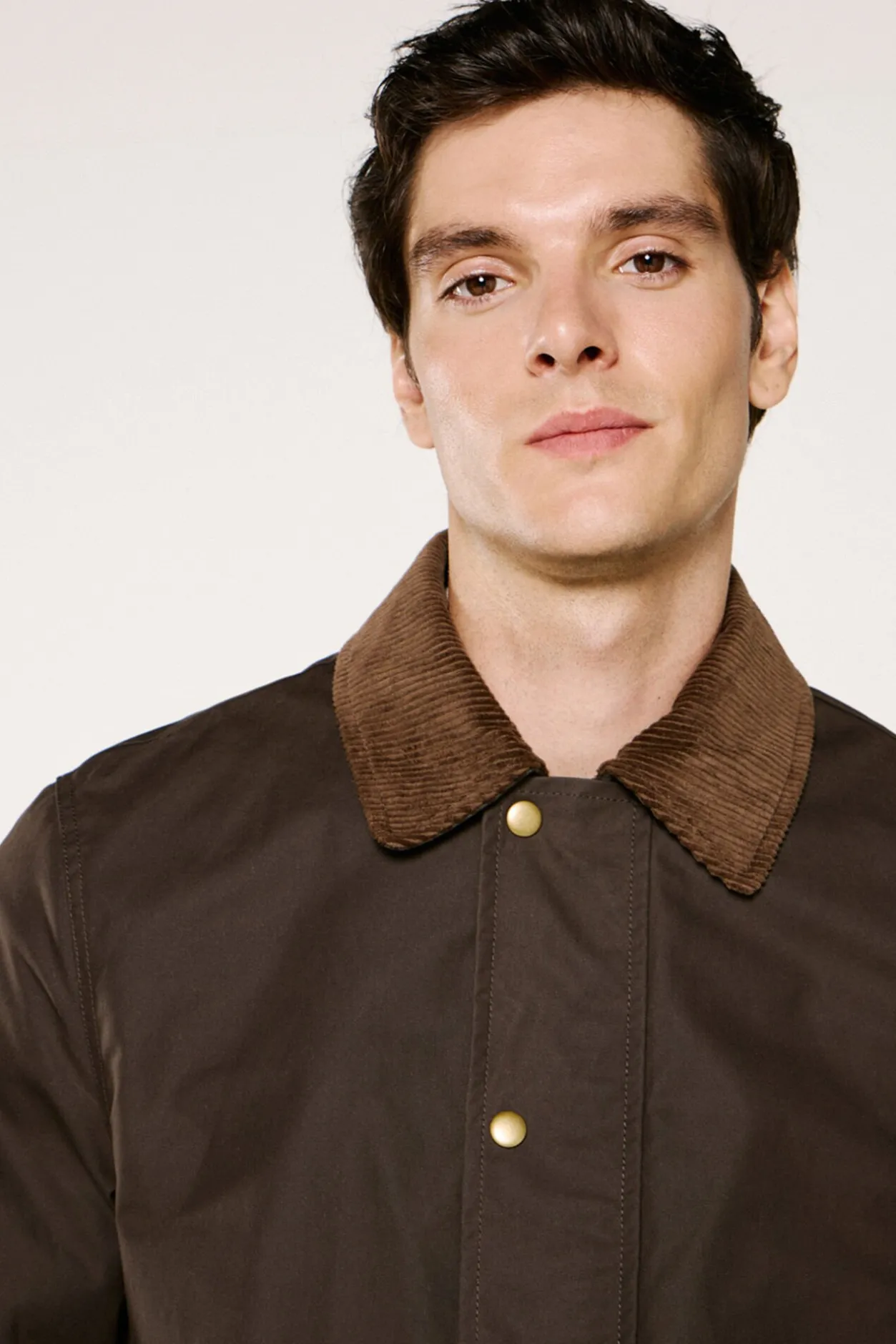 Selected Cazadora cuello pana 100% algodón orgánico Marrón oscuro