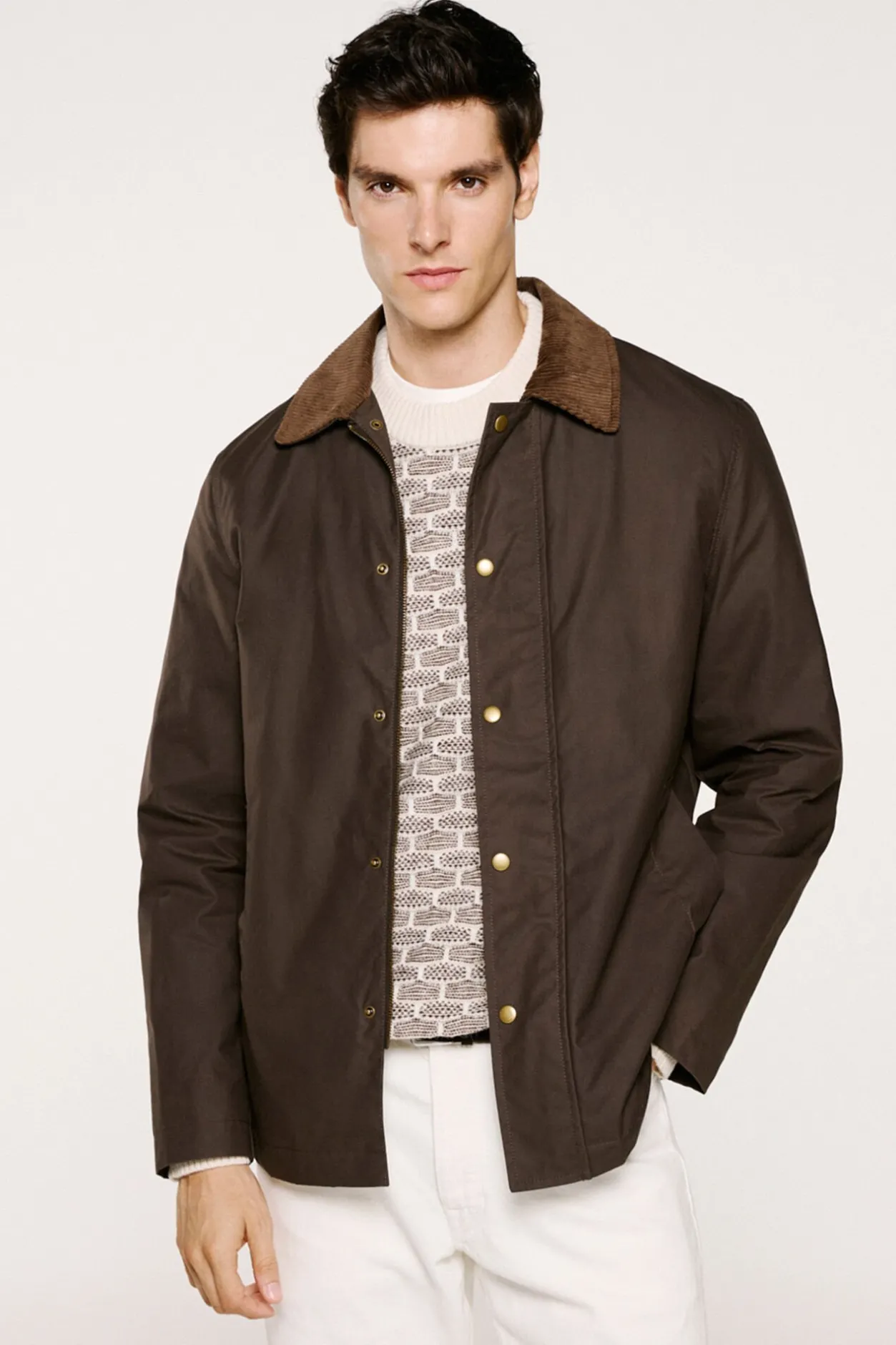 Selected Cazadora cuello pana 100% algodón orgánico Marrón oscuro