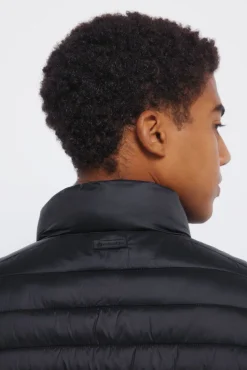 Springfield Chaqueta acolchada negro Best