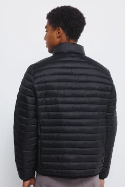 Springfield Chaqueta acolchada negro Best