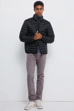 Springfield Chaqueta acolchada negro Best