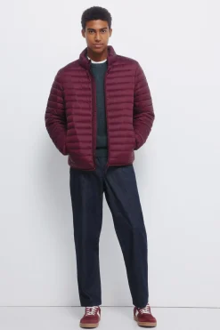 Springfield Chaqueta acolchada burdeos Best