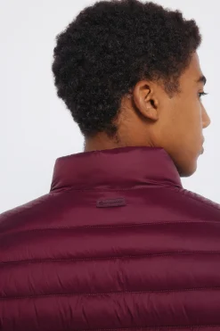 Springfield Chaqueta acolchada burdeos Best