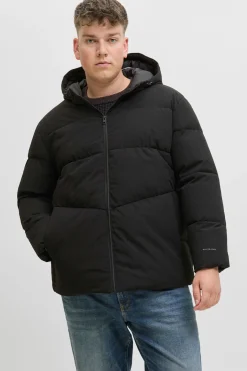 Jack & Jones PLUS Chaqueta acolchada hombre negro