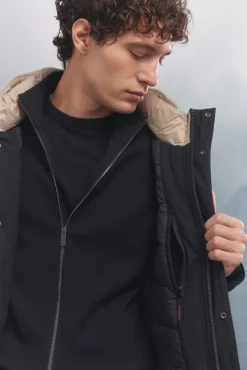 Springfield Chaqueta acolchada térmica azul Online