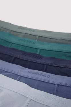 Springfield Pack 5 boxers azul Hot