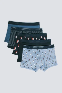 Springfield Pack 5 boxers algodón estampados azul