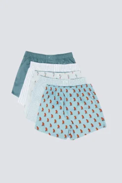 Springfield Pack 5 calzoncillos popelín estampados azul