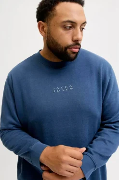 Jack & Jones PLUS Sudadera con capucha y logo azul Sale