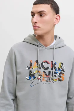 Jack & Jones Sudadera regular fit estampada gris Hot