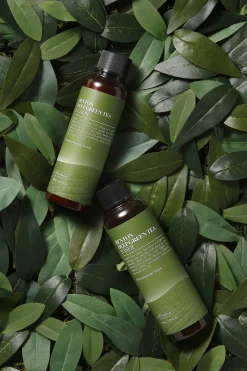 Benton Tónico de té profundo Verde Hot