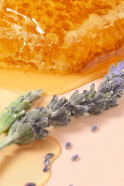 Nuxe Tratamiento labial rêve de miel 10 ml Beige Outlet